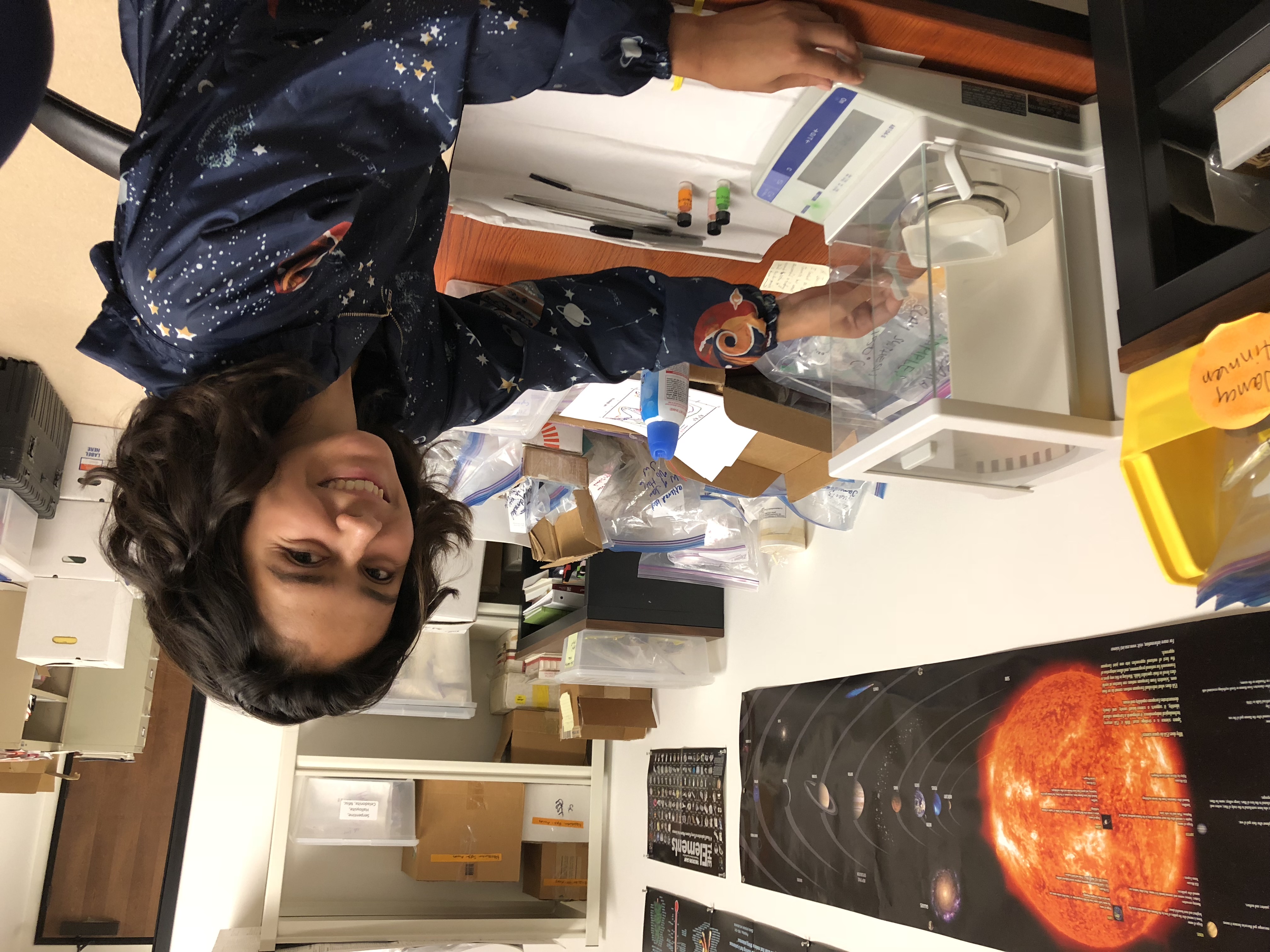 Research Experience for Undergraduates (REU)